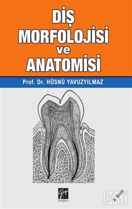 Di Morfolojisi ve Anatomisi